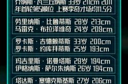 开云平台-立陶宛斩获欧预赛16强资格，大有可为