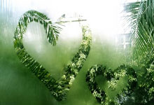 开云体育在线-中国女足在比赛中彰显了中国体育的潜力