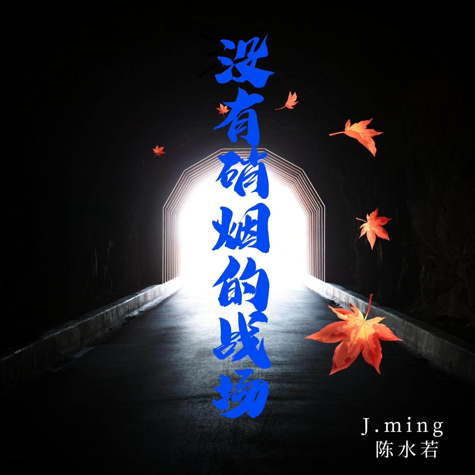 战将勇往直前，再战硝烟飞扬的简单介绍