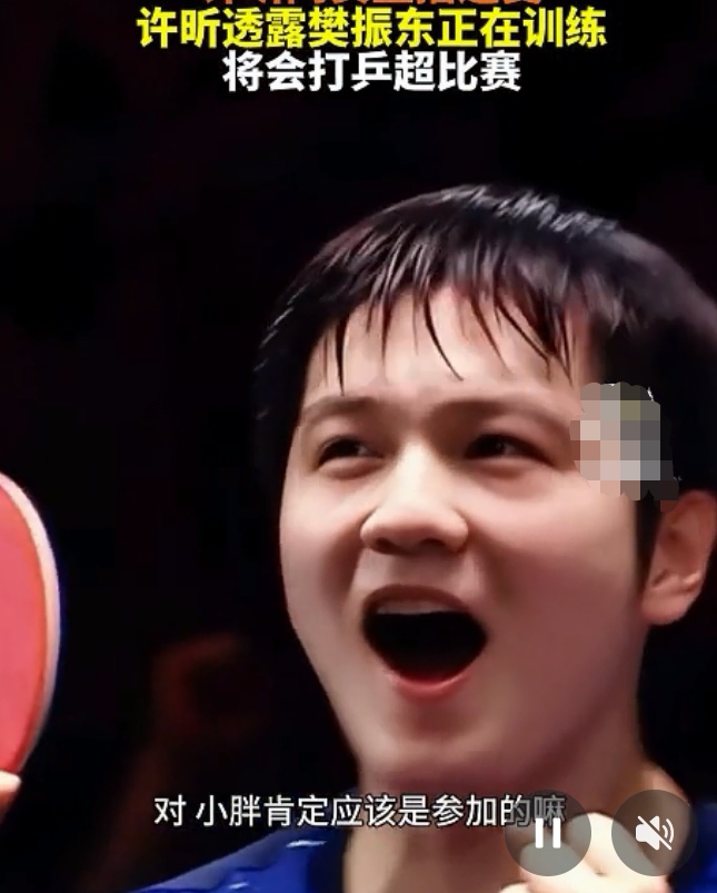 德国乒乓球队轻取比利时乒乓球队，许昕完成帽子戏法的简单介绍