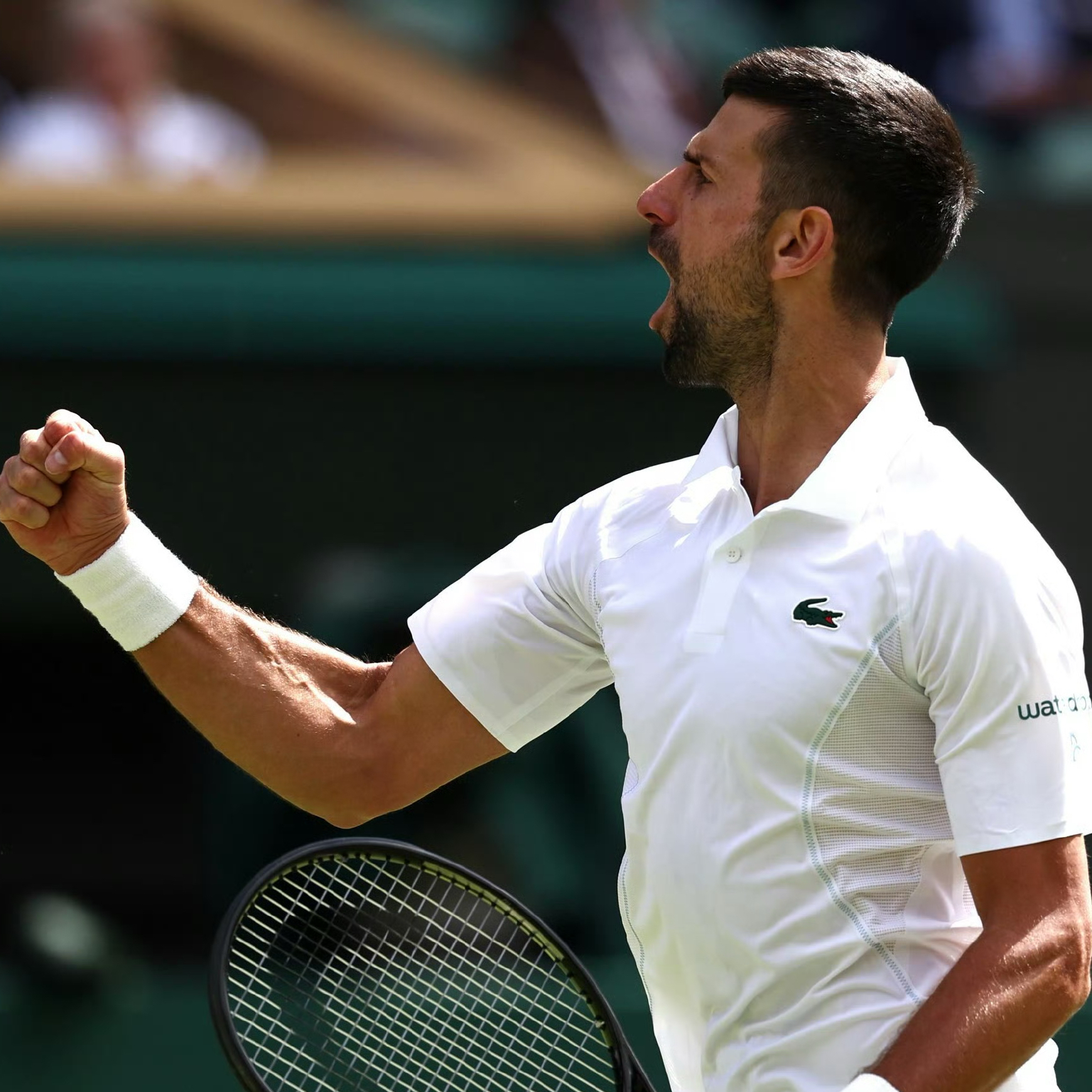 温网逆转法网,德约科维奇关键制胜的简单介绍 温网逆转法网,德约科维奇关键制胜的简单介绍